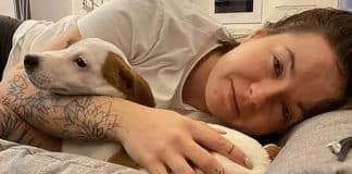 Ucraniana é alvo de tiros ao levar ração para cães de abrigo em Kiev e não resiste