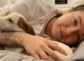 Ucraniana é alvo de tiros ao levar ração para cães de abrigo em Kiev e não resiste