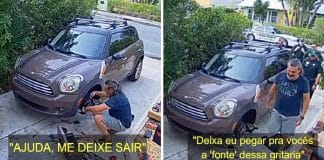 Vizinhos acionam a polícia após papagaio pedir socorro imitando voz de mulher