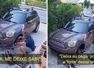 Vizinhos acionam a polícia após papagaio pedir socorro imitando voz de mulher