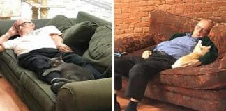 Vovô vai todos os dias a um abrigo para tirar um cochilo com os gatinhos Vovô vai todos os dias a um abrigo para tirar um cochilo com os gatinhos