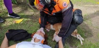 Mulher cai de moto para desviar de cãozinho e ele fica ao lado dela durante resgate