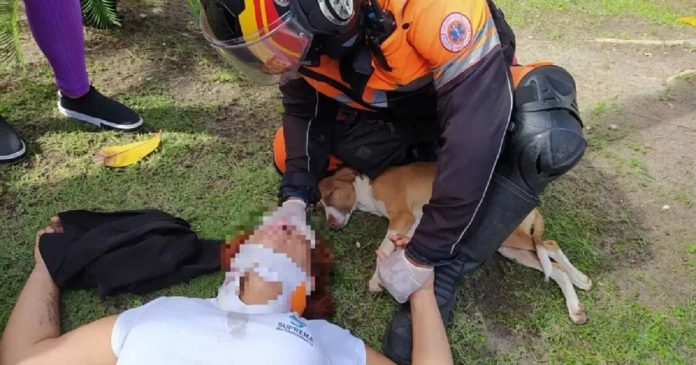 Mulher cai de moto para desviar de cãozinho e ele fica ao lado dela durante resgate