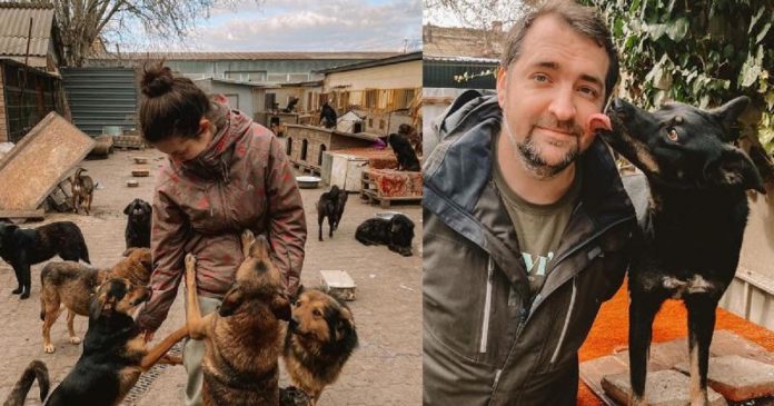 Casal de veterinários oferece abrigo a cães deixados para trás na Ucrânia