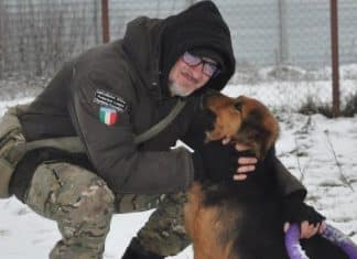 Homem se nega a deixar Kiev para não abandonar 400 animais de abrigo