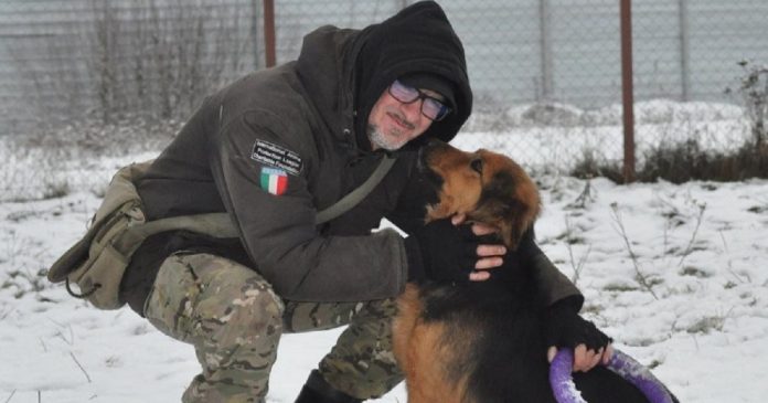 Homem se nega a deixar Kiev para não abandonar 400 animais de abrigo
