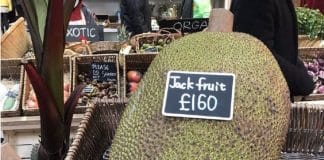 Esnobada no Brasil, jaca chega a custar R$ 1.100 no Reino Unido