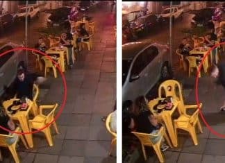 Homem luta bravamente contra barata e vídeo viraliza na internet: ‘Estou horrorizado’