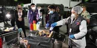 Chip é encontrado em estômago de menina, que pode ter ingerido carne de cachorro