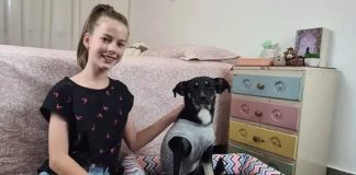 Família de garota que cedeu agasalho para cachorra ferida na chuva resolve adotar o animal