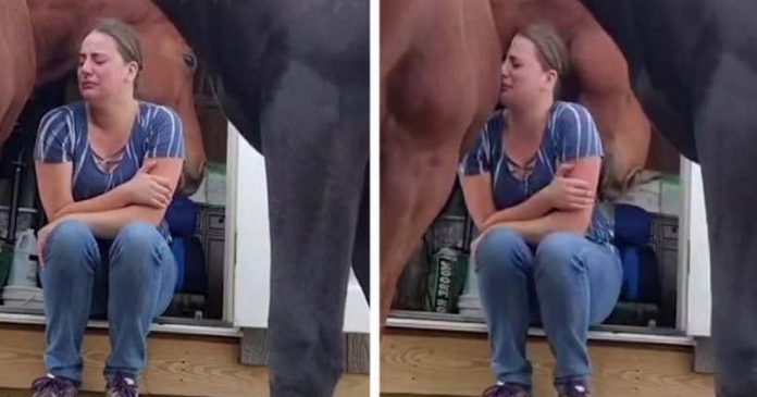 Vídeo: Cavalo consola cuidadora que estava vivendo momento de tristeza
