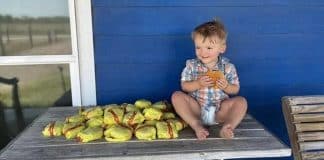 Garotinho de dois anos compra 31 hambúrgueres usando celular da mãe