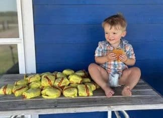 Garotinho de dois anos compra 31 hambúrgueres usando celular da mãe