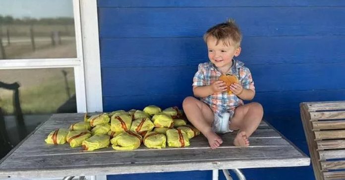 Garotinho de dois anos compra 31 hambúrgueres usando celular da mãe