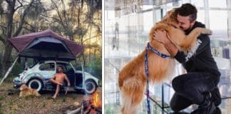 Influenciador e cão que viajavam de fusca pelo mundo são vítimas de acidente nos EUA