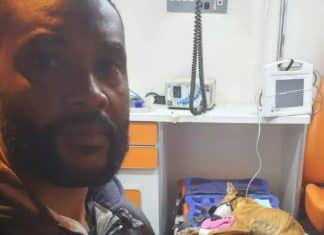 Segurança resgata cachorra que foi abandonada doente dentro de saco de lixo em Campinas