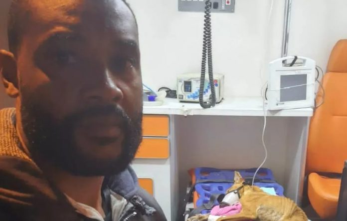Segurança resgata cachorra que foi abandonada doente dentro de saco de lixo em Campinas