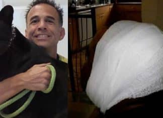 Homem paga para tirar foto com pantera e acaba escalpelado pelo animal