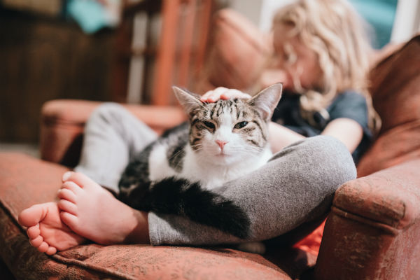 contioutra.com - Estudo comprova que gatos podem copiar a personalidade de seus donos