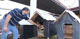 Taxista que ama cães instalou 4 casinhas para proteger os animais do frio e da chuva Taxista que ama cães instalou 4 casinhas para proteger os animais do frio e da chuva