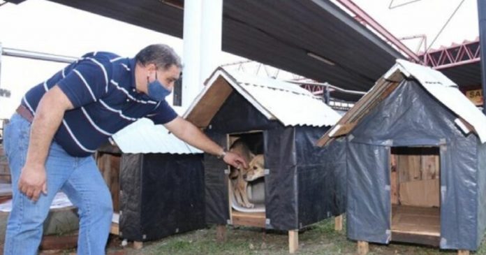 Taxista que ama cães instalou 4 casinhas para proteger os animais do frio e da chuva