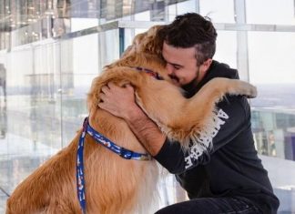 Velório de Jesse Koz, que faleceu em acidente com seu cão, será aberto ao público