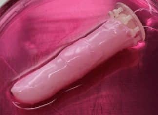 Cientistas criam pele humana em laboratório para revestir dedo robótico: “É apenas o primeiro passo”