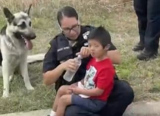 Menino com síndrome de Down se perde e é amparado por seu cachorro até chegada do resgate