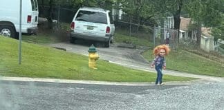 Aos 5 anos ele se veste de Chucky e aterroriza vizinhos: “Eu quase tive um ataque cardíaco” Aos 5 anos ele se veste de Chucky e aterroriza vizinhos: “Eu quase tive um ataque cardíaco”