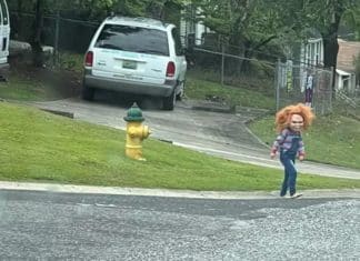 Aos 5 anos ele se veste de Chucky e aterroriza vizinhos: “Eu quase tive um ataque cardíaco”
