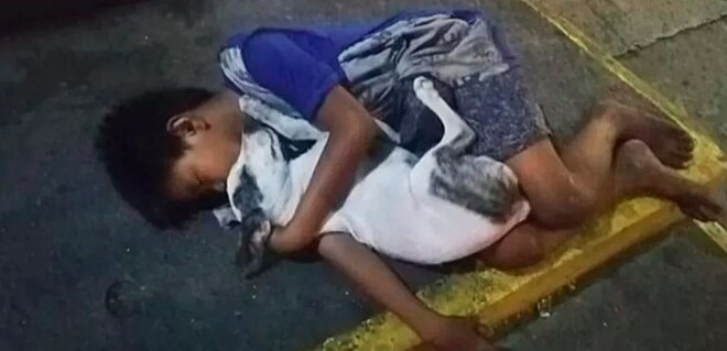 contioutra.com - Imagens de garotinho dormindo na rua abraçado a cachorro comovem a web