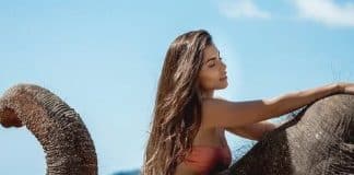 Influenciadora posa em tromba de elefante e revolta seguidores: ‘Respeita os animais’ Influenciadora posa em tromba de elefante e revolta seguidores: ‘Respeita os animais’