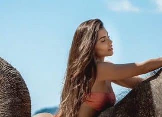 Influenciadora posa em tromba de elefante e revolta seguidores: ‘Respeita os animais’