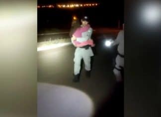 Menina de 6 anos é encontrada sozinha em mata após ser sequestrada por padrasto e ele falecer em acidente