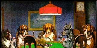 Como jogar pôquer: Coisas para dominar para ser um melhor jogador de pôquer