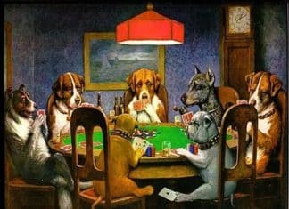 Como jogar pôquer: Coisas para dominar para ser um melhor jogador de pôquer