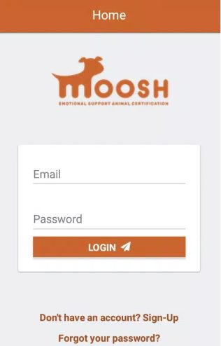 contioutra.com - Moosh aplicativo móvel