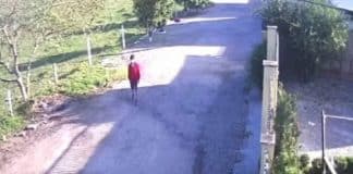 Viralizou: Pai chega na escola e percebe que esqueceu filho em casa Viralizou: Pai chega na escola e percebe que esqueceu filho em casa