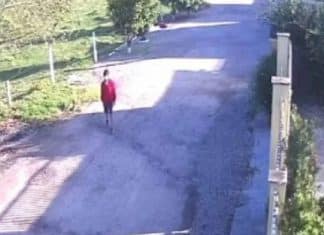 Viralizou: Pai chega na escola e percebe que esqueceu filho em casa