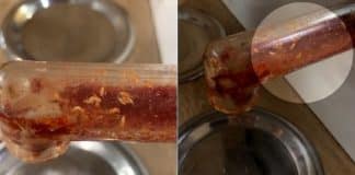 Cliente descobre larvas em dispenser de ketchup do McDonald’s