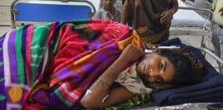 Mãe heroína luta contra tigre com as próprias mãos para salvar o filho de 1 ano