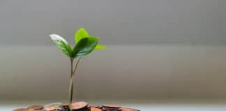 Como ganhar dinheiro negociando criptomoedas? Como ganhar dinheiro negociando criptomoedas?