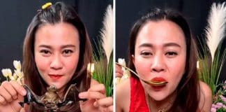 Influenciadora tailandesa é presa após publicar vídeo tomando sopa de morcegos