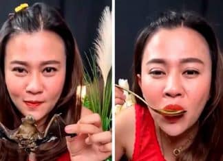 Influenciadora tailandesa é presa após publicar vídeo tomando sopa de morcegos