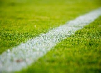 Copa do Mundo 2022: Quais os times que poderão vencer.