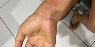 Mulher é mantida em cárcere por 8 meses com homem que conheceu na internet