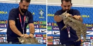 Assessor da CBF é criticado depois de tirar gatinho de bancada da coletiva: “Repulsa ao afeto”