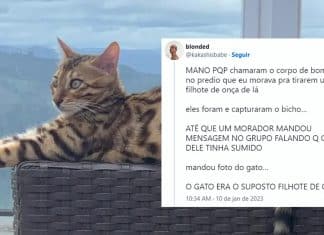 Gatinha é solta na mata por bombeiros depois de ser confundida com onça