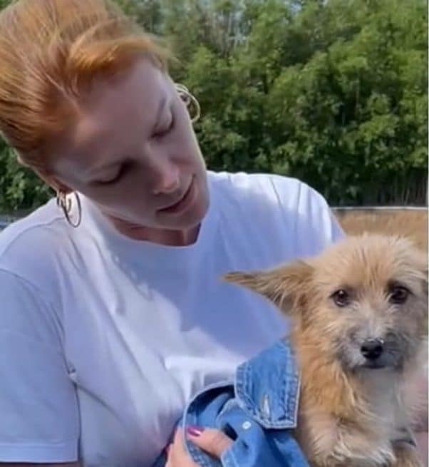 contioutra.com - Vídeo emocionante: Ana Hickmann resgata cachorro que foi 'deixado para morrer'