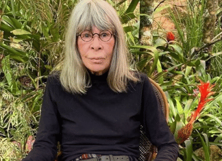 Cantora Rita Lee é internada: ‘Estado de saúde extremamente delicado’